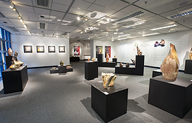 Library Gallery